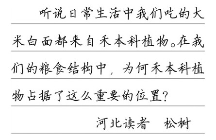 科普|主食為何大多來(lái)自禾本科植物？