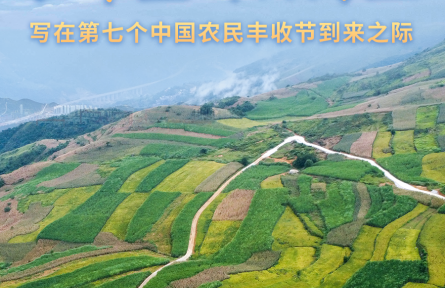 收獲，在希望的田野上——寫在第七個中國農(nóng)民豐收節(jié)到來之際
