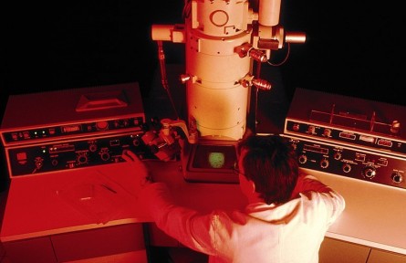 科技名詞|透射電子顯微鏡 transmission electron microscope；TEM