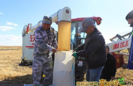 破“堿”重生！吉林鹽堿地變形記