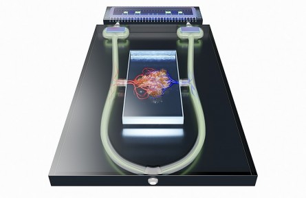 科技名詞|介電電泳 dielectrophoresis；DEP