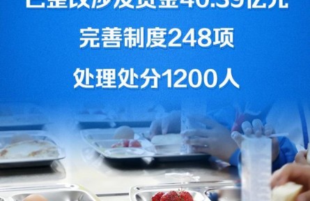 農村學生營養(yǎng)餐問題整改金額超40億元