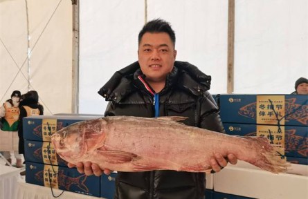 黑龍江：冰城冷水魚以質(zhì)領(lǐng)“鮮”，成冰雪季餐桌一道“大菜”