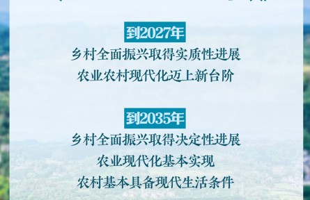 中共中央、國務(wù)院印發(fā)《鄉(xiāng)村全面振興規(guī)劃（2024—2027年）》新華社快報(bào)