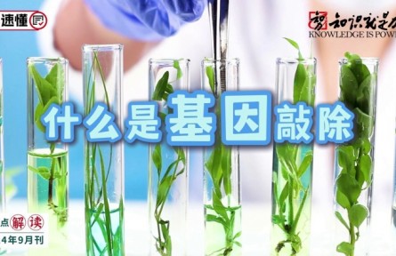 科普 | 什么是基因敲除？
