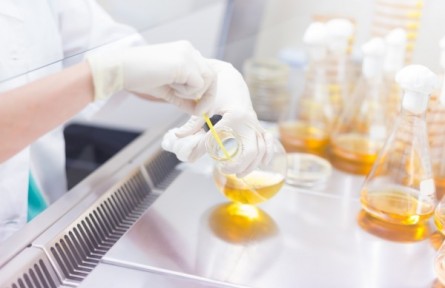 在生命科學研究中，人工智能發(fā)揮哪些作用？