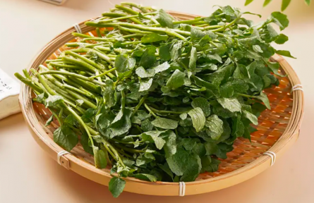它被國外評為最具營養(yǎng)活力的蔬菜，但我打賭90%的人沒吃過