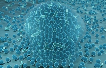 科技名詞|生物膜 biological membrane；biomembrane