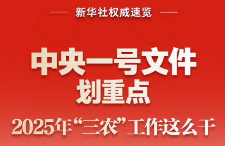 中央一號文件劃重點(diǎn)，2025年“三農(nóng)”工作這么干
