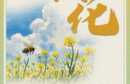 油菜花哪里賞？快收下這份油菜花賞花氣象指南！