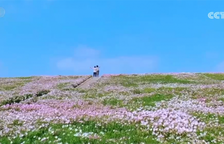 農(nóng)業(yè)農(nóng)村部推出“美麗鄉(xiāng)村游”60條精品線路 有何“亮點”？