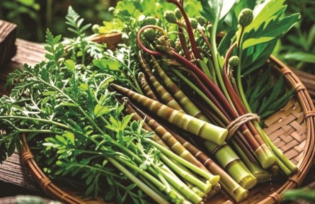 野菜嘗鮮季，如何避免舌尖風險