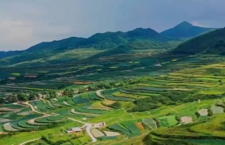 甘肅：立足特色興業(yè)強村 助力鄉(xiāng)村全面振興