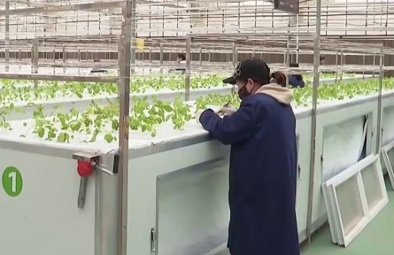甘肅榆中：馬鈴薯春播進入關鍵期 芯片檢測保駕護航