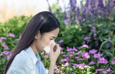 辟謠|對花粉過敏的人不能賞花？