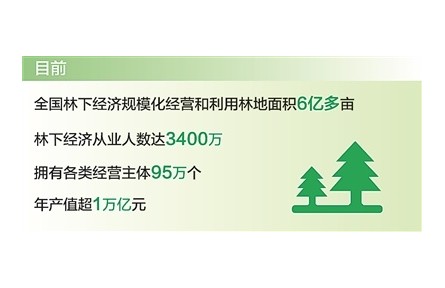 發(fā)展林下經(jīng)濟(jì)首次寫(xiě)入《政府工作報(bào)告》 我國(guó)林下經(jīng)濟(jì)年產(chǎn)值超1萬(wàn)億元