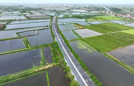 湖北江陵：小龍蝦“鏈”出大產業(yè)！繪就農業(yè)發(fā)展新圖景