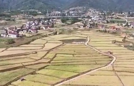 【在希望的田野上·三夏時節(jié)】各地搶抓夏收夏種 夯實糧食豐收基礎(chǔ)