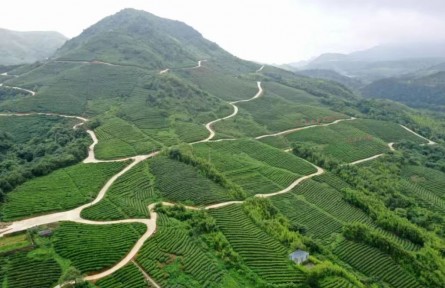 貴州黔南州：錨定農(nóng)業(yè)支撐產(chǎn)業(yè) 進一步夯實鄉(xiāng)村振興基礎(chǔ)