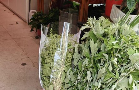 身價大漲！艾草花束成年輕人的端午“新寵”