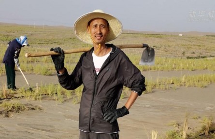 世界環(huán)境日|老兵治沙隊的綠色守望
