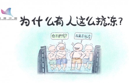 真的有人更不怕冷嗎？原來(lái)是骨骼肌中缺少一種蛋白