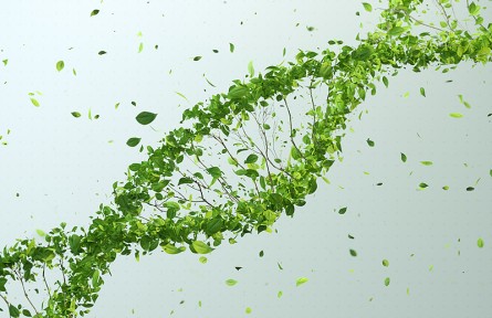 科技名詞|生長(zhǎng)因子 growth factor，GF