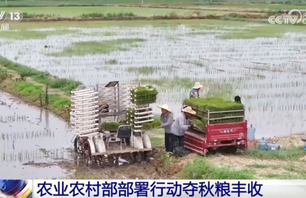 全力以赴打牢秋糧豐收基礎 奮戰(zhàn)100天防汛抗災、抓夏管、提單產(chǎn)