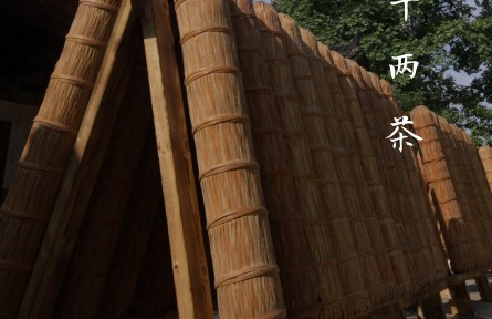 一柱千兩茶，半部茶葉史