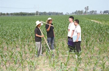 河南護航高標(biāo)準(zhǔn)農(nóng)田建設(shè) 筑牢糧食安全根基