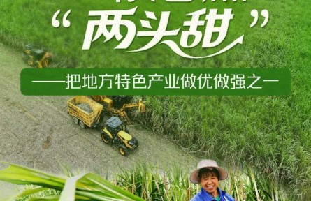 習(xí)近平總書記關(guān)切事|一根甘蔗“兩頭甜”——把地方特色產(chǎn)業(yè)做優(yōu)做強之一