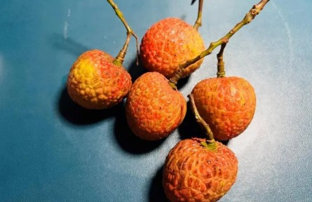 吃荔枝能降糖？千萬不要這么做！
