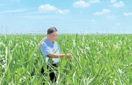 53本筆記，半個(gè)世紀(jì)“糧心”——記時(shí)代楷模、安徽省太和縣種糧大戶徐淙祥