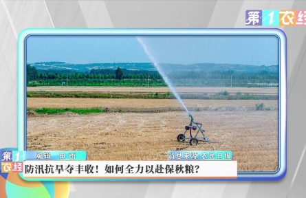 防汛抗旱奪豐收！如何全力以赴保秋糧？