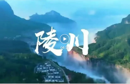 品牌短視頻 ①：跟著連翹去“探險(xiǎn)”——陵川深山到茶杯