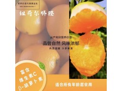 紐荷爾臍橙 (Newhall Navel Orange)