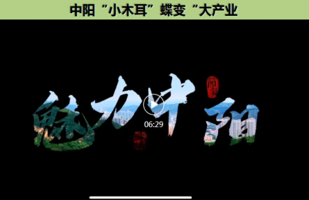 品牌短視頻④：中陽(yáng)“小木耳”蝶變“大產(chǎn)業(yè)”