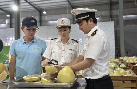 我國(guó)新鮮蜜柚首次出口新西蘭