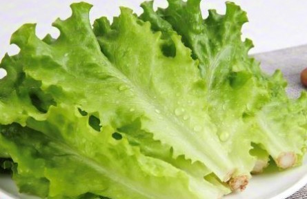 辟謠|生吃生菜真的會(huì)感染寄生蟲(chóng)嗎？