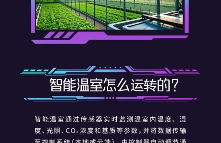 大國糧策|探秘智慧農業(yè)——智能溫室與植物工廠