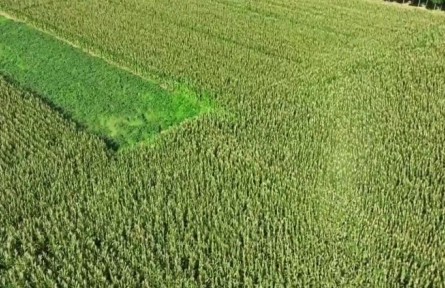 河北北斗＋農業(yè)：精準作業(yè) 賦能智慧農業(yè)