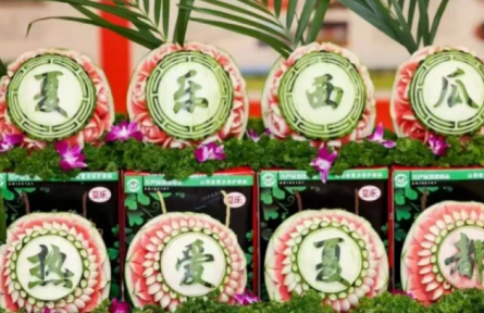 家鄉(xiāng)農(nóng)產(chǎn)品大學(xué)生推薦官 | 品牌手記?：夏縣西瓜：千年傳承的甜蜜產(chǎn)業(yè)