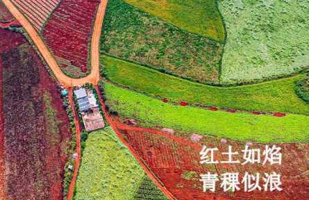 秋分：尋色山河間 攬盈滿秋實(shí)