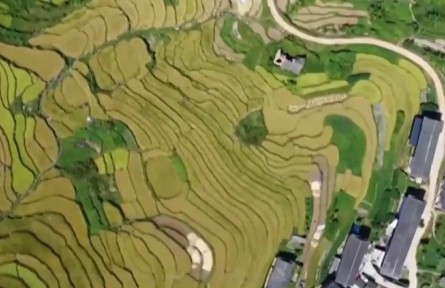 共慶農(nóng)民豐收節(jié) 同建宜居宜業(yè)和美鄉(xiāng)村