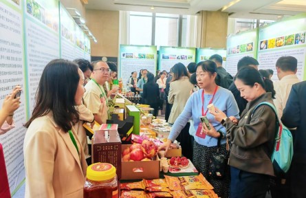 云南省地理標(biāo)志運營中心啟動運營