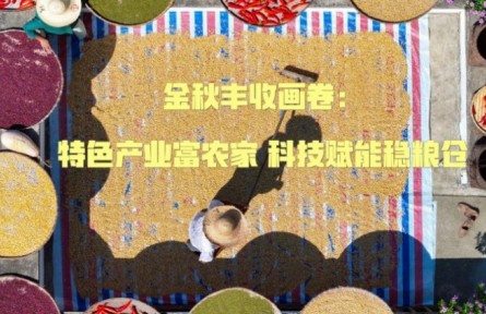 金秋豐收畫(huà)卷：特色產(chǎn)業(yè)富農(nóng)家 科技賦能穩(wěn)糧倉(cāng)