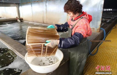 從“靠海吃?！钡健翱萍几！?山東守護“藍色糧倉”