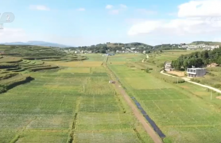 ?國(guó)慶中秋“菜籃子”供應(yīng)充足 價(jià)穩(wěn)物豐滿(mǎn)足節(jié)日消費(fèi)需求