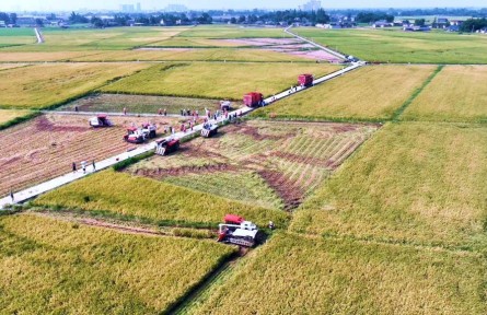 打造更高水平“天府糧倉”——四川加快推進農(nóng)業(yè)現(xiàn)代化觀察