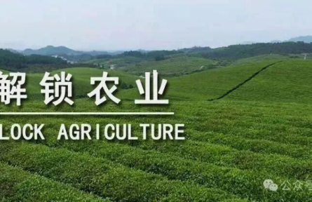 未來十年，中國需要什么樣的農(nóng)業(yè)品牌？｜特稿